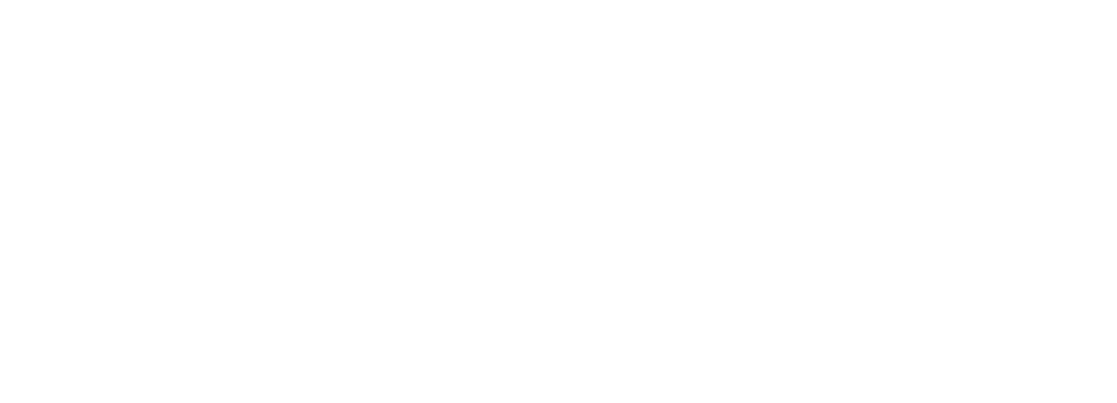 Noeli Event Production